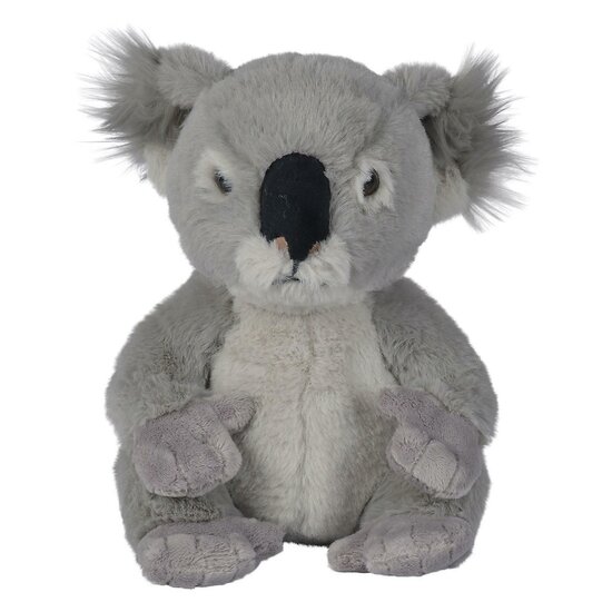 National Geographic Knuffel Koala, 25cm
