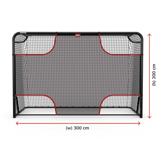 BERG SportsGoal Target Net L