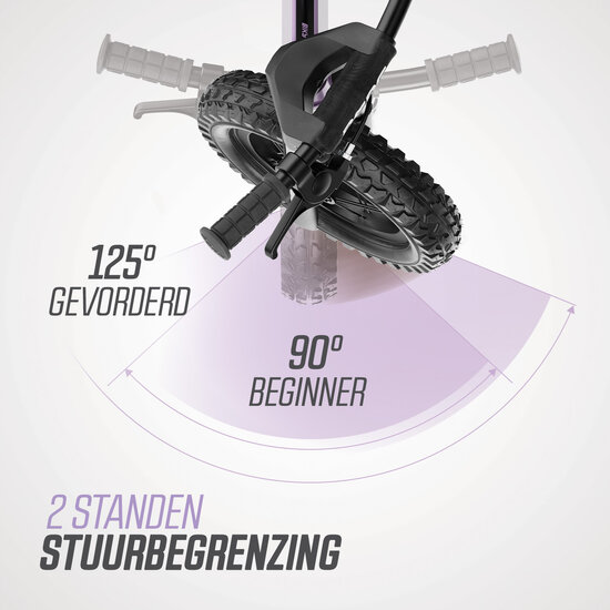BERG loopfiets Biky Cross Purple Handbrake 2-5 jaar 32 cm