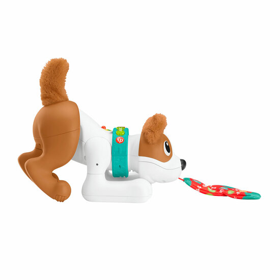 Fisher-Price  - 123 Crawl With Me Puppy-DU