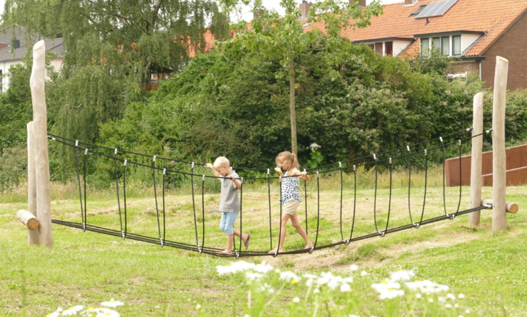 Robinia touwbrug voor openbaar gebruik 500cm