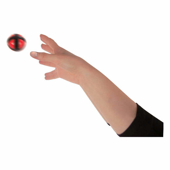 Gametime Klittenband Werpspel met 2 Vesten en 6 Ballen