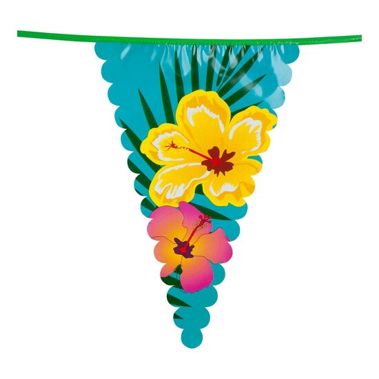 Hawa&iuml; Vlaggenlijn, 6mtr.