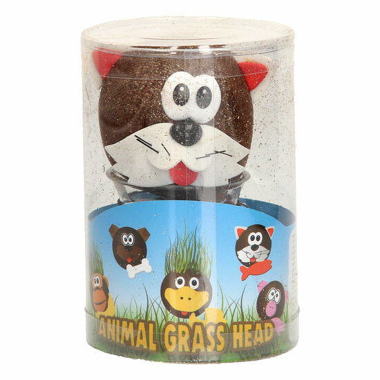 Grasvriendjes Dieren Verzorgen