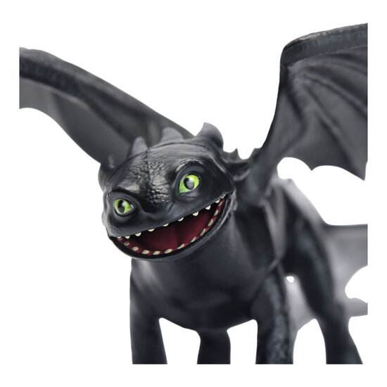 How To Train Your Dragon Small Dragon Ass.