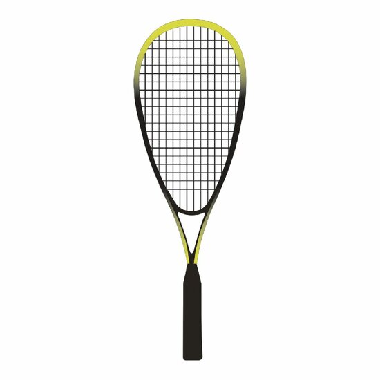 SportX Speed Badminton FSC