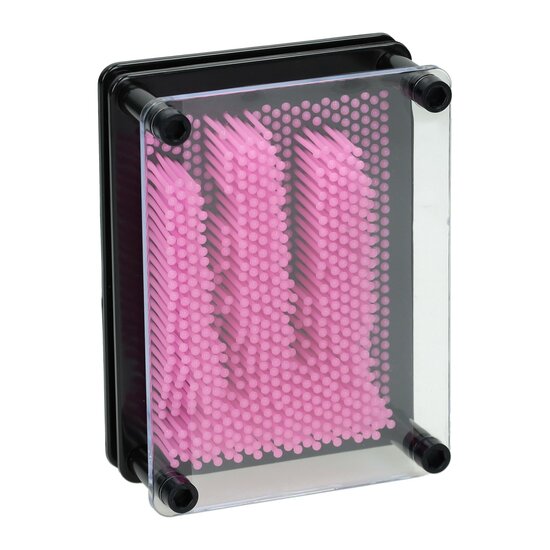 Pin Art Roze 10x13cm