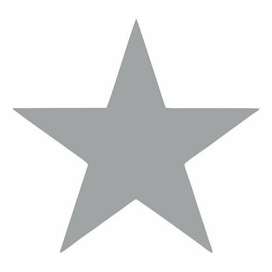 Fiskars Figuurspons Ster, 25mm