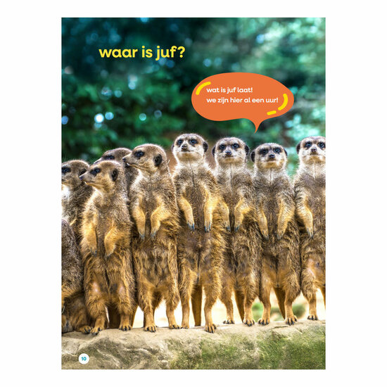 Mijn grote juffenboek - AVI Start
