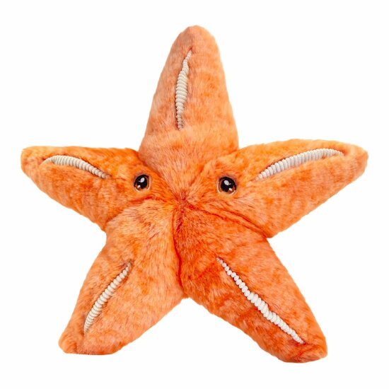 Keel Eco Starfish 25cm