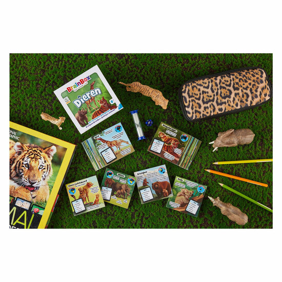 BrainBox Dieren Bordspel