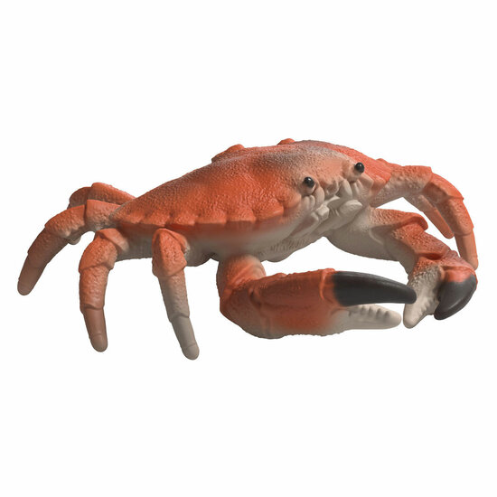 schleich WILD LIFE Ontdekkingsset Zeedieren 42742