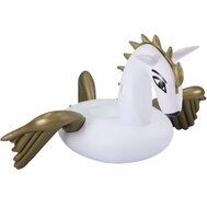 Comfortpool Pegasus