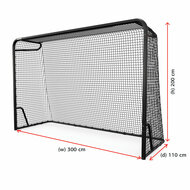 BERG SportsGoal L 300x200