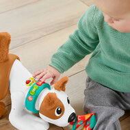 Fisher-Price  - 123 Crawl With Me Puppy-DU