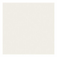 Glass Color Frost Verf - Wit, 30ml