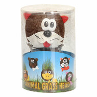 Grasvriendjes Dieren Verzorgen