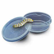 SES Explore - Insecten Explorer