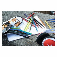 STABILO color - Kleurpotlood - Set Met 12 Stuks