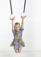 Swing Pack 3 In 1 (Zitje, Trapeze, Metalen Ringen) Ringen)