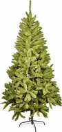 Sierboom  Green Glory 180cm