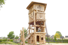 Robinia Speeltoren Openbaar 740x400 cm - Natuurlijk Hout