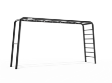 BERG Playbase Extra Large Frame 3-in-1 Speeltoestel - Multifunctioneel Speeltoestel - Rekstok en Ladder - Zwart