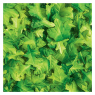 Colorations - Groene Blaadjes, 200st.