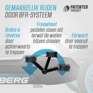 Skelter BERG Rally APX Blauw