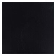 Ecola Plakkaatverf Fles 16ml Zwart 700