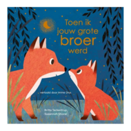 Prentenboek grote broer worden - Toen ik jouw grote broer werd