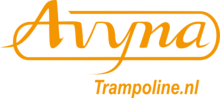 Trampoline Rand InGround 275x190 Zwart | Avyna