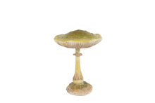 Decoratieve sculptuur Mushroom &ndash; groen &ndash; polystone &ndash; 8 &times; 8 &times; 10,5 cm