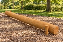 Robinia balanceerstam voor openbaar gebruik 200-600cm (voorbeeld uitvoering) - sfeerbeeld