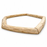 Robinia Zandbakrand voor openbaar gebruik  - witte achtergrond