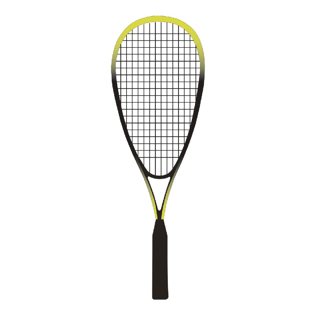 SportX Speed Badminton FSC