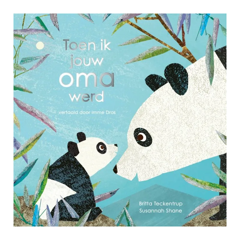 Toen ik jouw oma werd - prentenboek over band oma en kleinkind