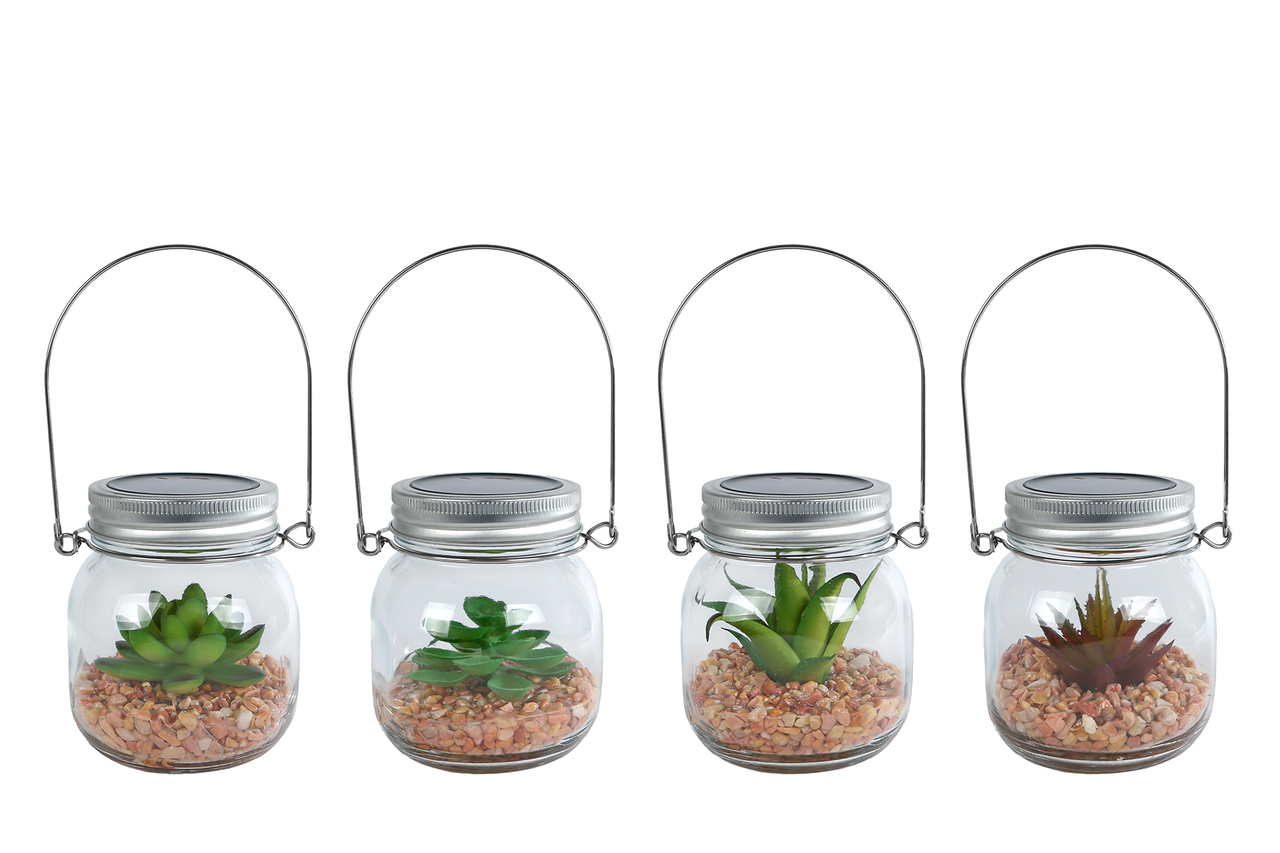 LED-verlichting Succulent &ndash; helder &ndash; glas &ndash; 10 &times; 8,5 &times; 10 cm &ndash; diverse uitvoeringen
