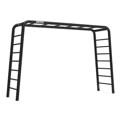 Berg Playbase 3-In-1 Large Met 2 Ladders