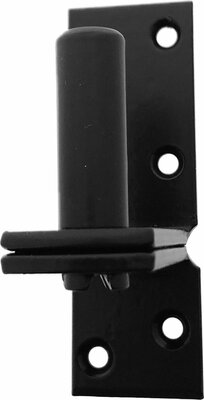 Plaatduim Ø16 21mm zwart