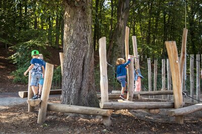 Robinia Balanceerstructuur voor openbaar gebruik 890 cm x 510 cm