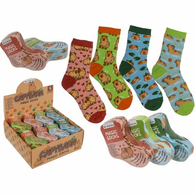 Capybara Magic Socks 22-34 4 Ass. Disp.