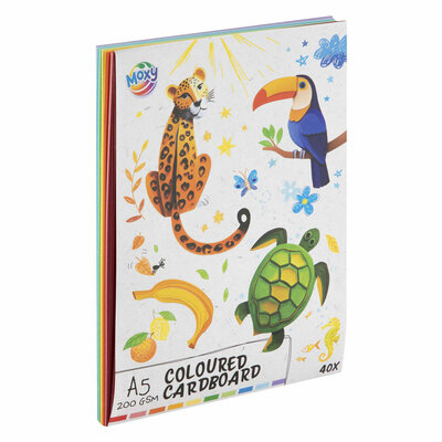 Gekleurd Karton A5, 40 Vellen 10 Kleuren