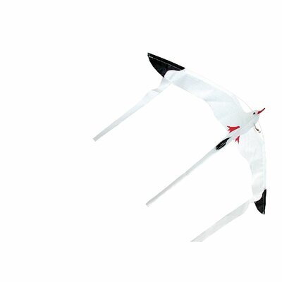 Rhombus Mini-seagull