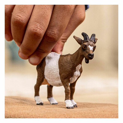 schleich FARM WORLD Geit 14887