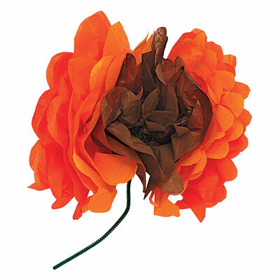 Colorations - Crepepapier - 50 Vellen