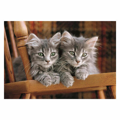 Clementoni Legpuzzel Kittens, 500st.