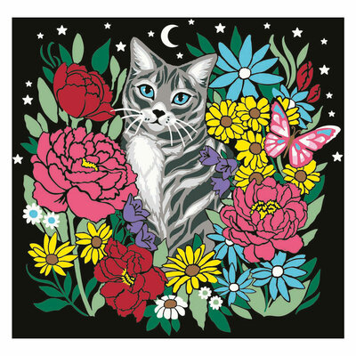 CreArt Pixie Cold Schilderen op Nummer - Kat