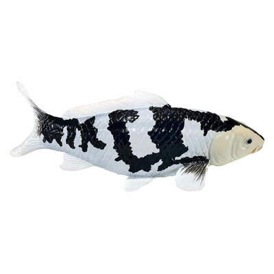 Mojo Sealife Koi Karper - Shiro Utsuri Koi - 381102