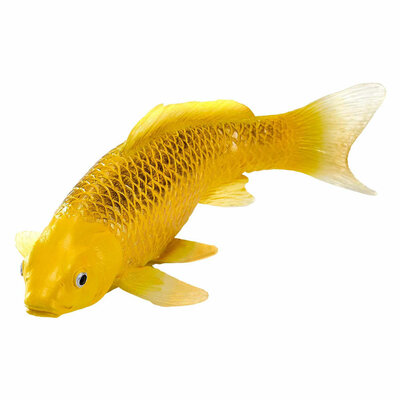 Mojo Sealife Koi Karper - Kin Matsuba Koi - 381105